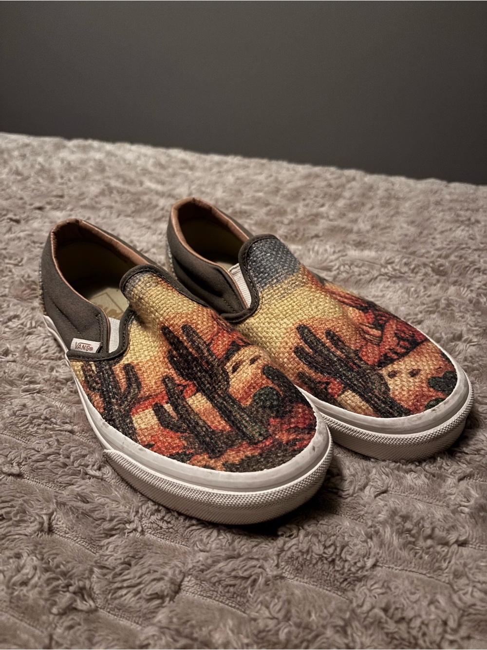 Vans with Canvas Cactus